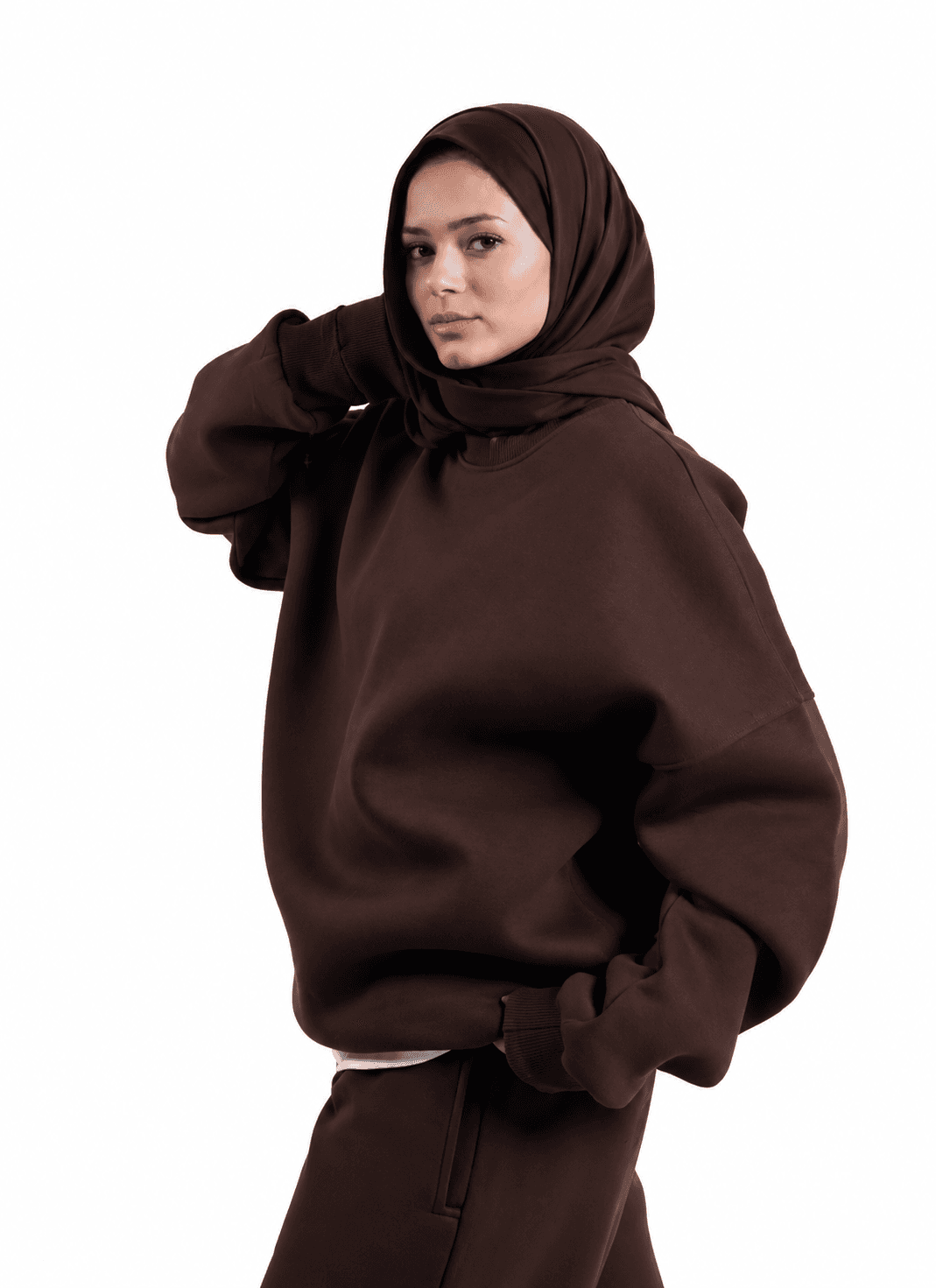 RAW Short Neck Sweatshirt — Brown